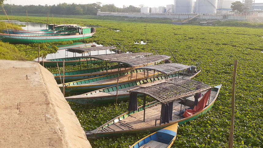 Water hyacinths blocking rivers and canals in Bangladesh