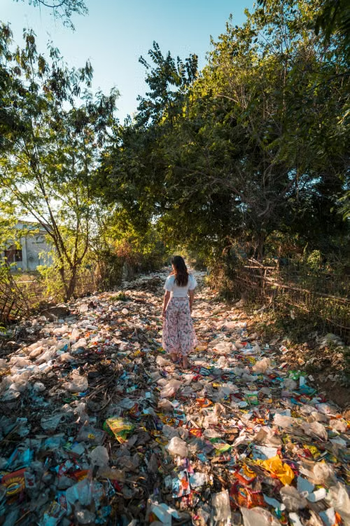 Plastic waste pollution